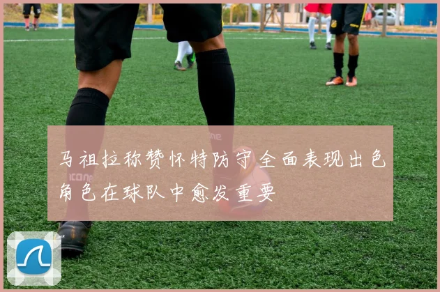 马祖拉称赞怀特防守全面表现出色角色在球队中愈发重要