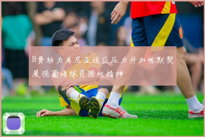 B费助力库尼亚适应压力并加练默契展现葡语球员团结精神